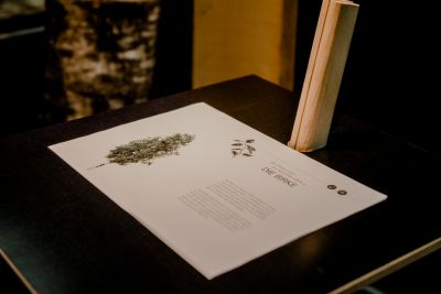 Schild mit der Aufschrift "Die Birke" und Erklärungstext