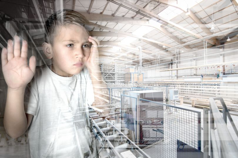 © Niki Schreinlechner