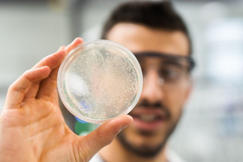 (c) Lukas Elsnegg/Uni Graz